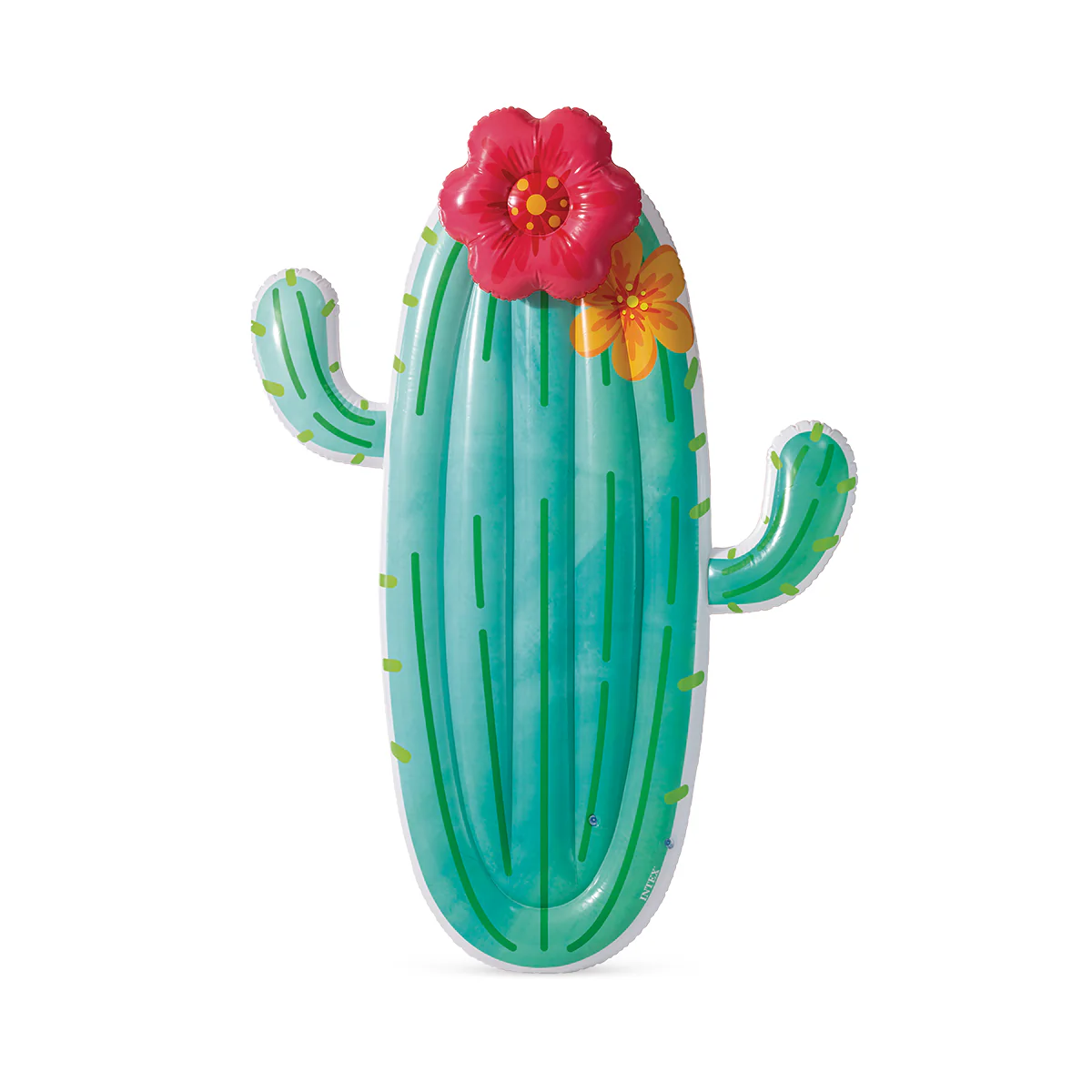 Colchoneta Inflable Cactus Intex - Image 7