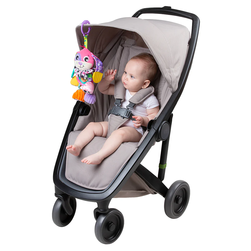Colgante Activity Friend Perro Dixie Playgro - Image 2