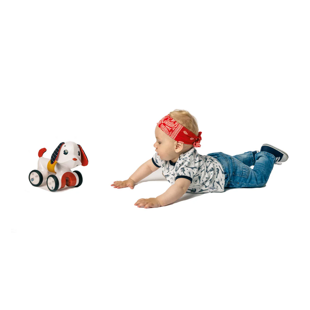 Perrito Follow Me Charlie Tiny Love - Image 11